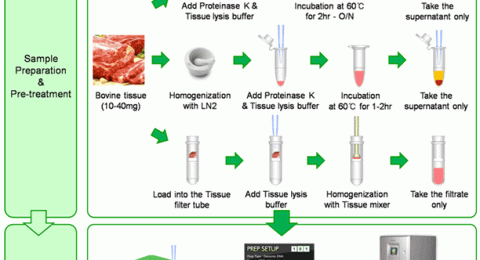 BeefGenomicDNAKit_f02 (2)