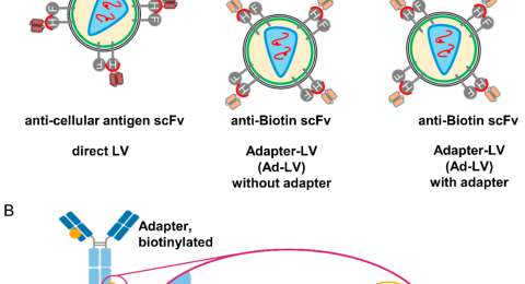 viruses-14-02157-g001