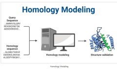 homology