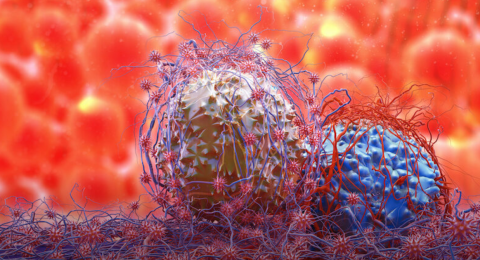 ONCOTECH