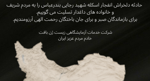 ستوري أخضر بسيط عن اليوم العالمي للبيئة (2)
