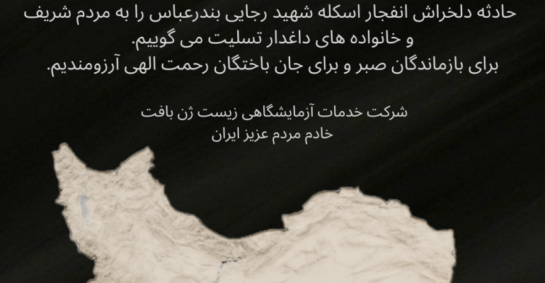 ستوري أخضر بسيط عن اليوم العالمي للبيئة (2)