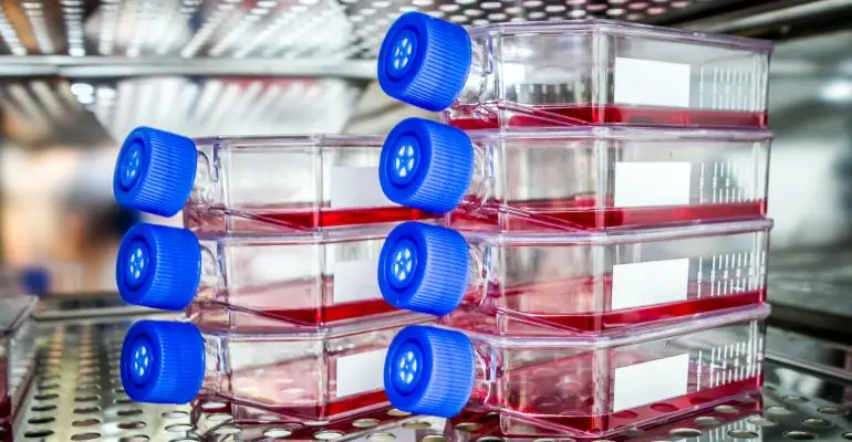 Tissue Culture Flask for Scientific Research