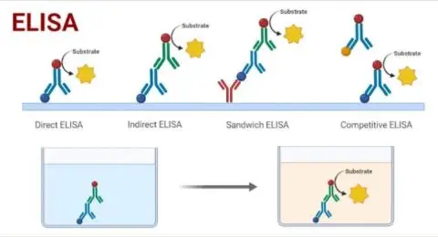 elisa