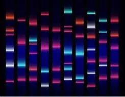غلظت DNA