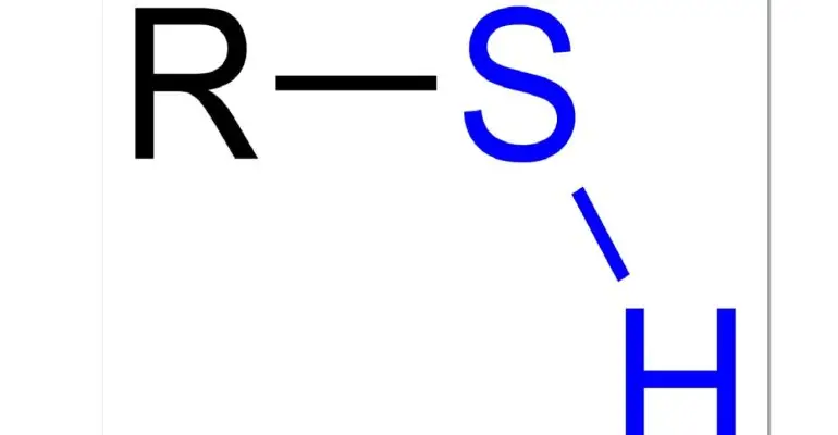 تیول
