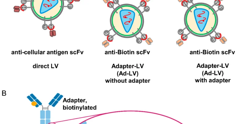 viruses-14-02157-g001