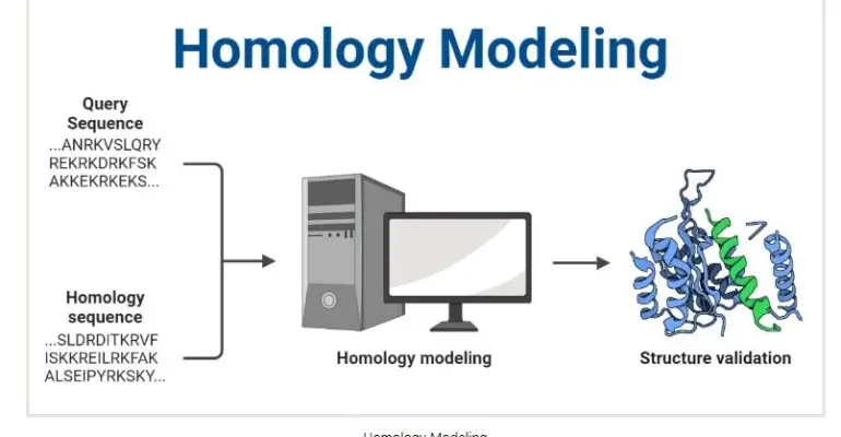 homology