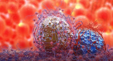 ONCOTECH