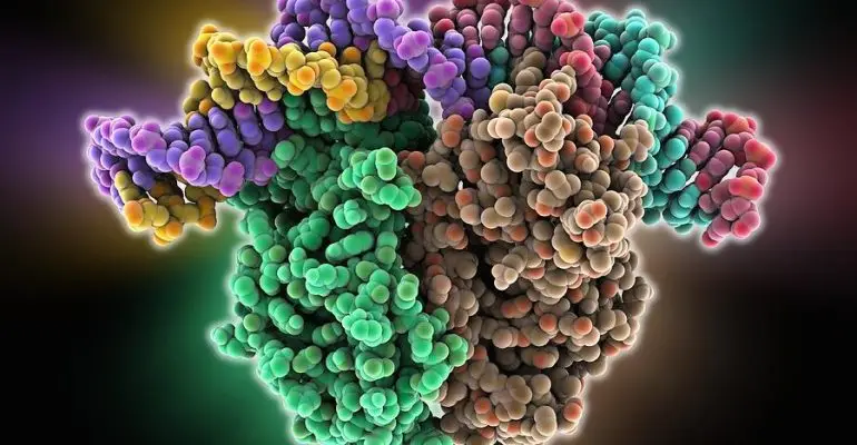 1-gene-activator-protein-science-photo-library