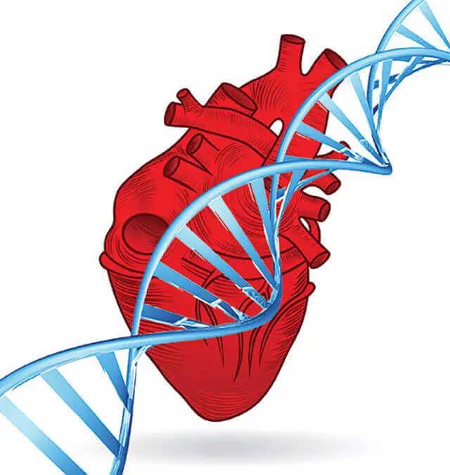 0411-Exercise-Helps-Overcome-Bad-Heart-Genetics