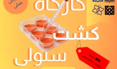 دوره (11) (1)