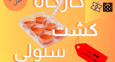 دوره (11) (1)