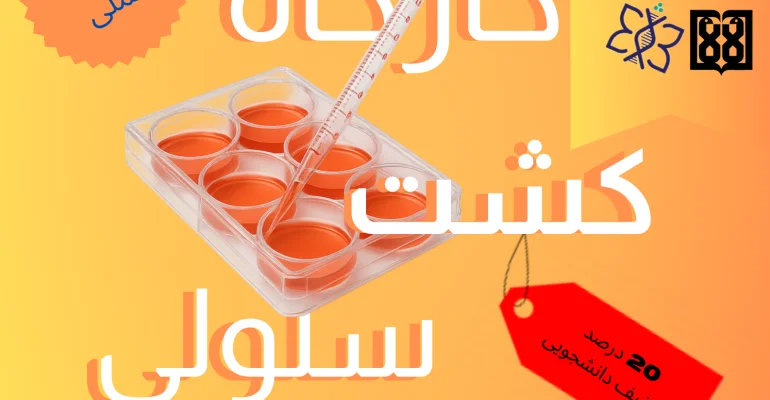 دوره (11) (1)
